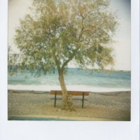 my-polaroids-11