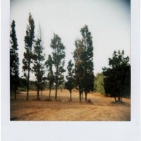 my-polaroids-5