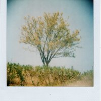 my-polaroids-6