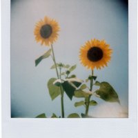 my-polaroids-7