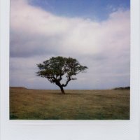 my-polaroids-8