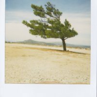 my-polaroids-9